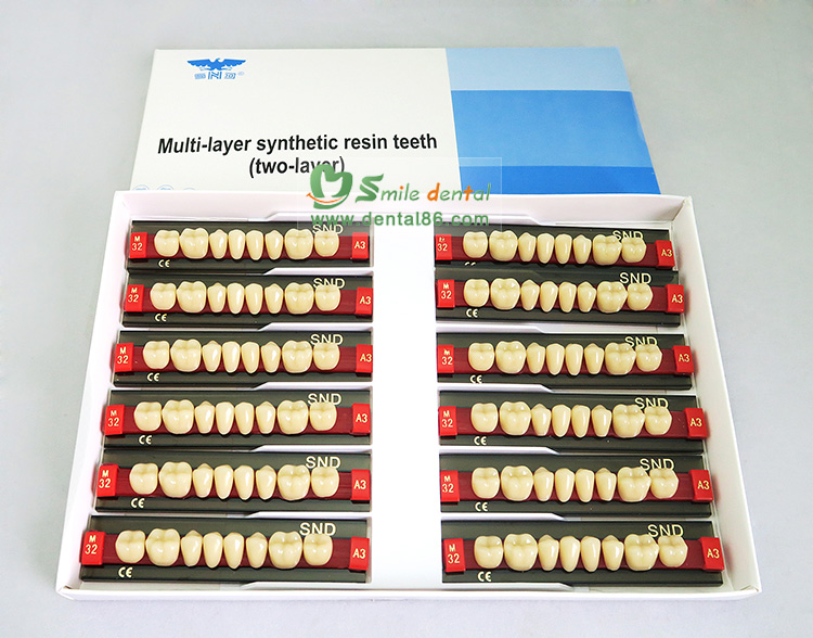 SDT-R202 Two Layer Acrylic Resin Teeth